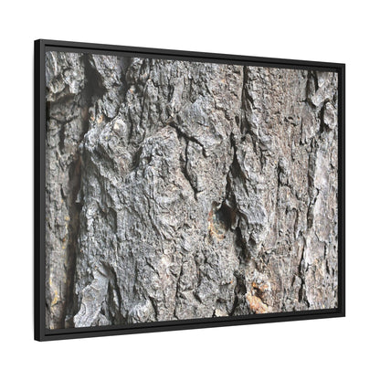 Crusty Exterior - Unique Stretched Canvas Wall Art - Art By Earth