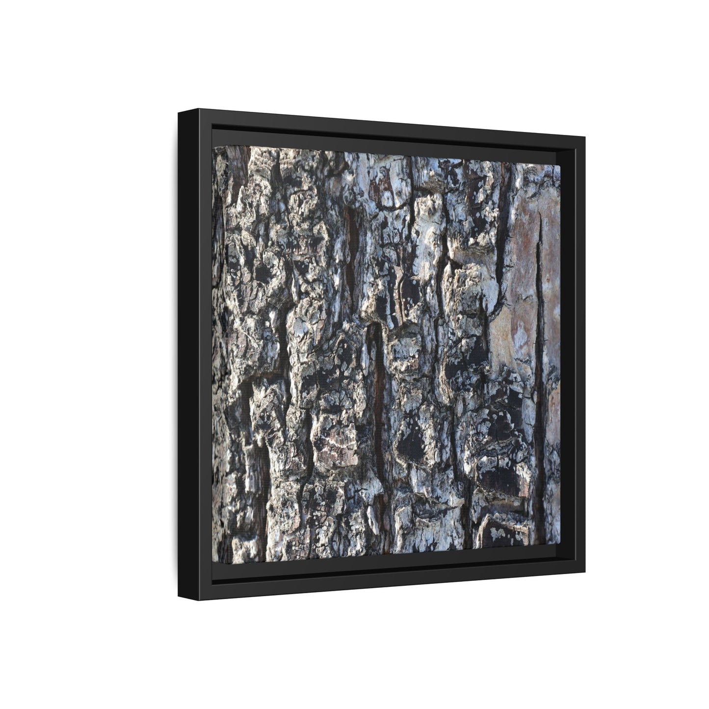 The Bark Chronicles - Unique Stretched Canvas Wall Art - Art By Earth