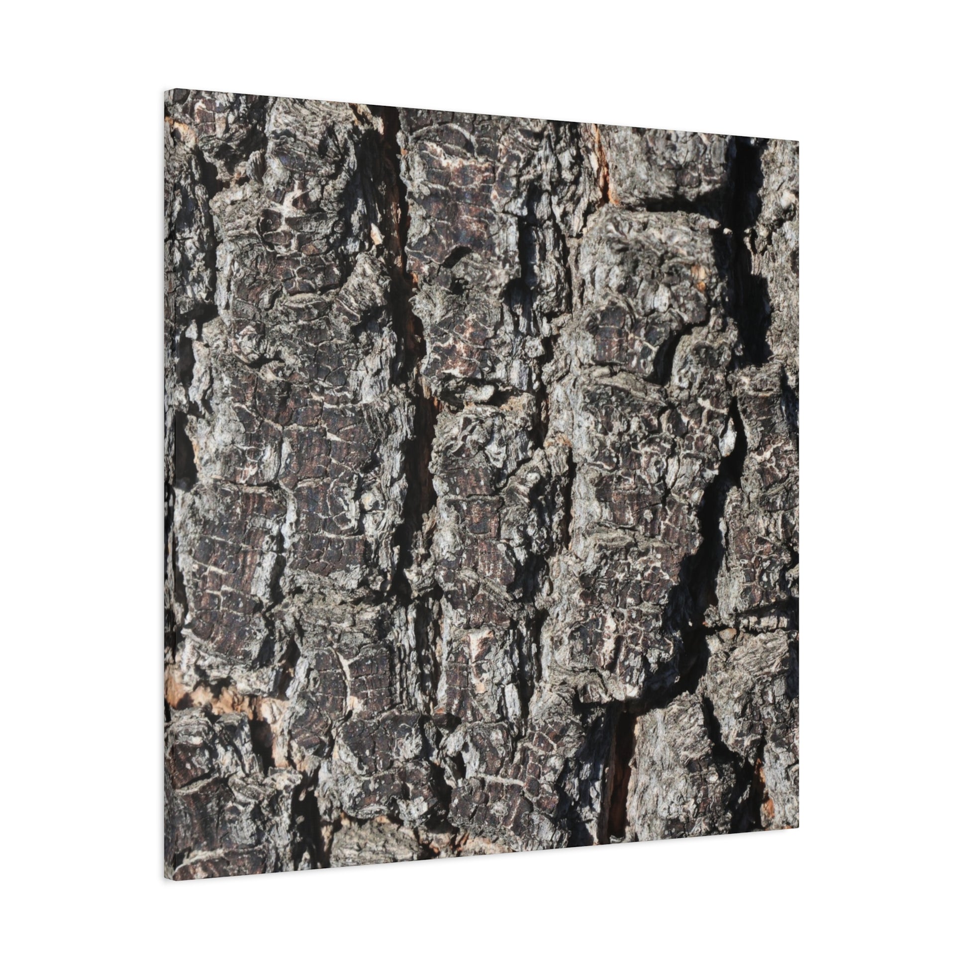 Cracked Skin of Earth - Unique Frameless Canvas Wall Art - Art By Earth