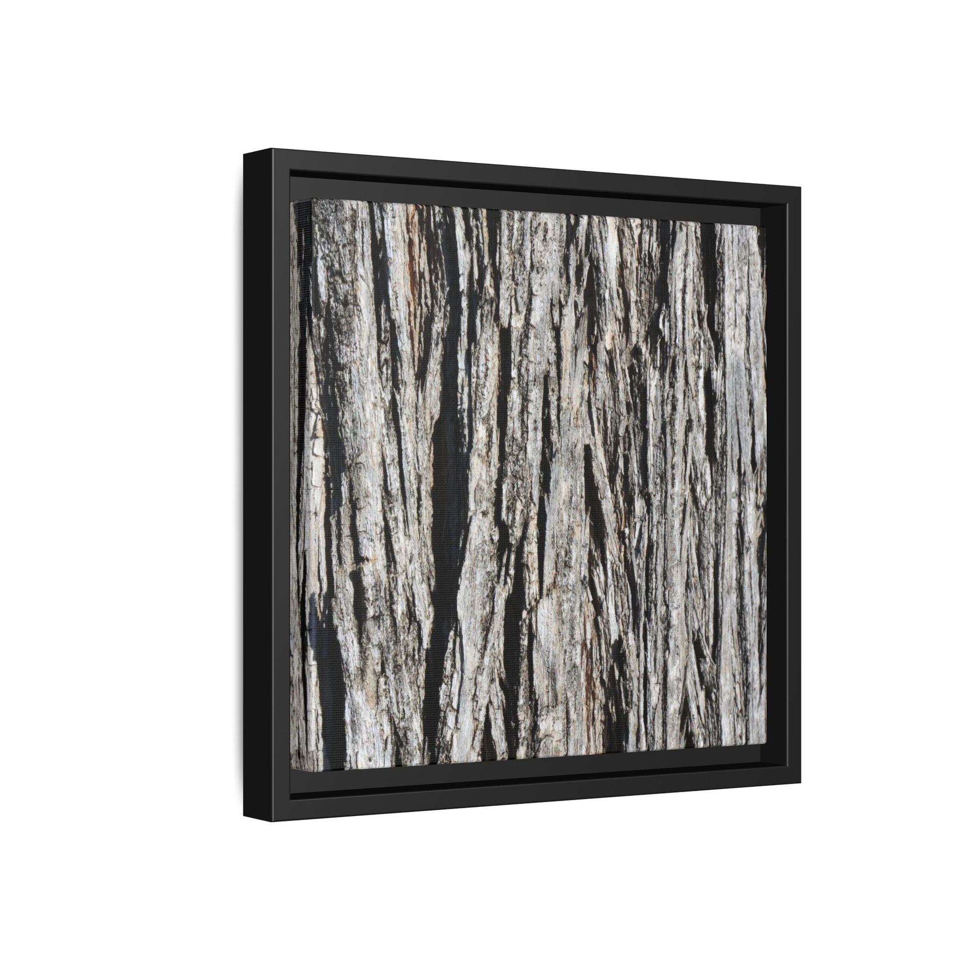 Nature's Abstract - Unique Stretched Canvas Wall Art - Art By Earth