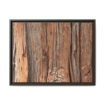 Echoes of Timber - Unique Stretched Canvas Wall Art - Art By Earth