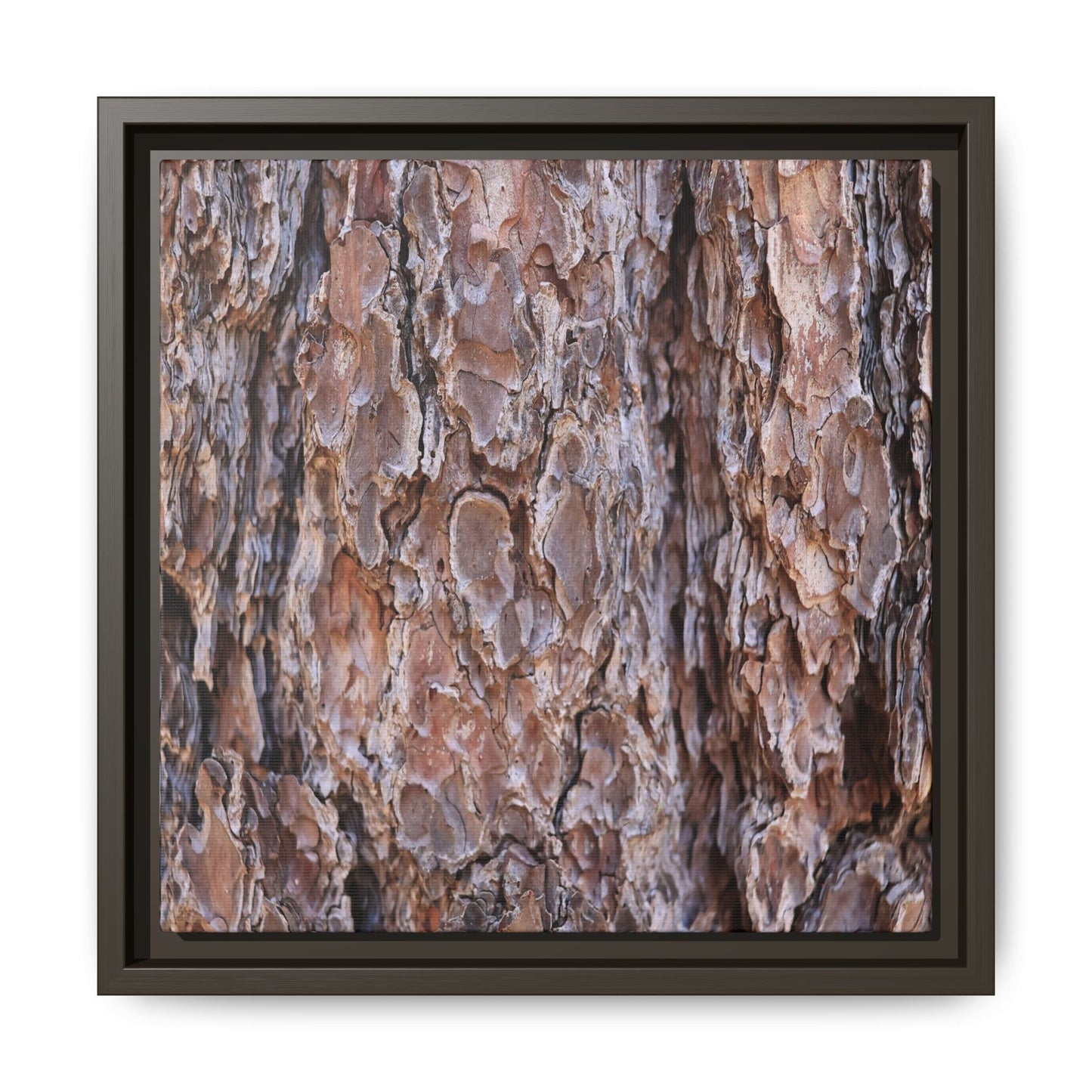 Woody Layers - Unique Stretched Canvas Wall Art - Art By Earth