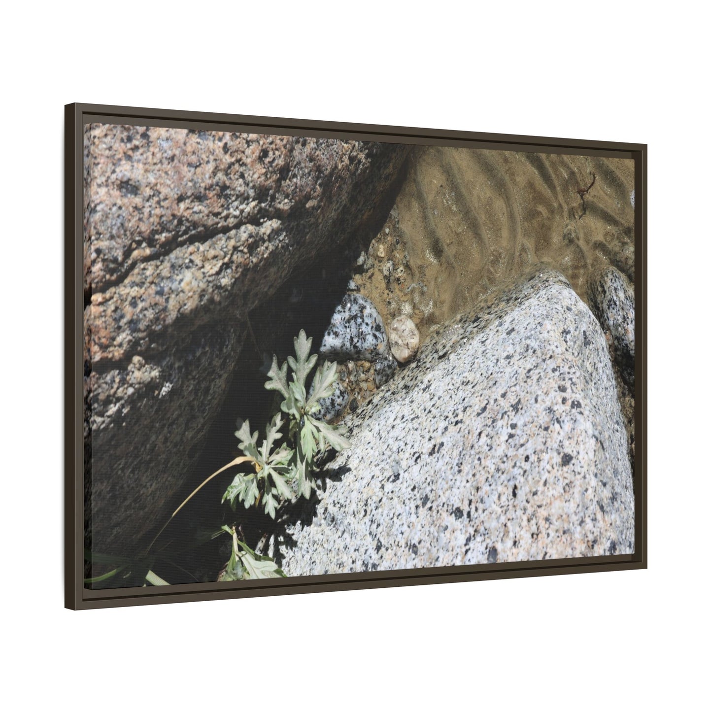 Resilience in Stone - Unique Stretched Canvas Wall Art - Art By Earth