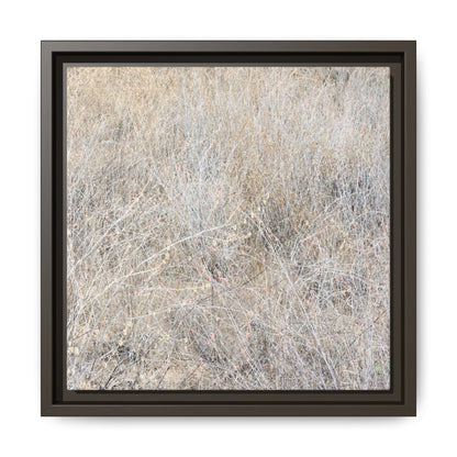 Whispers of Dry Grass - Unique Stretched Canvas Wall Art - Art By Earth