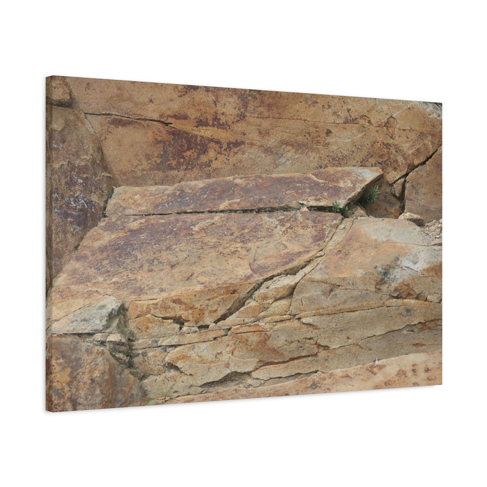 Rocky Terrain - Unique Frameless Canvas Wall Art - Art By Earth
