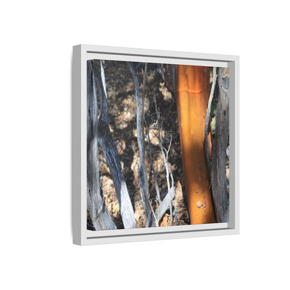 Burnt Trees and Golden Trunk - Unique Stretched Canvas Wall Art