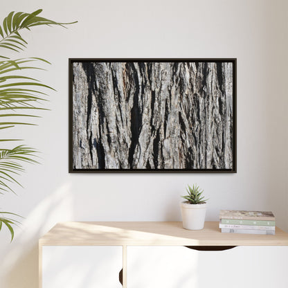 Bark Lines - Unique Stretched Canvas Wall Art - Art By Earth