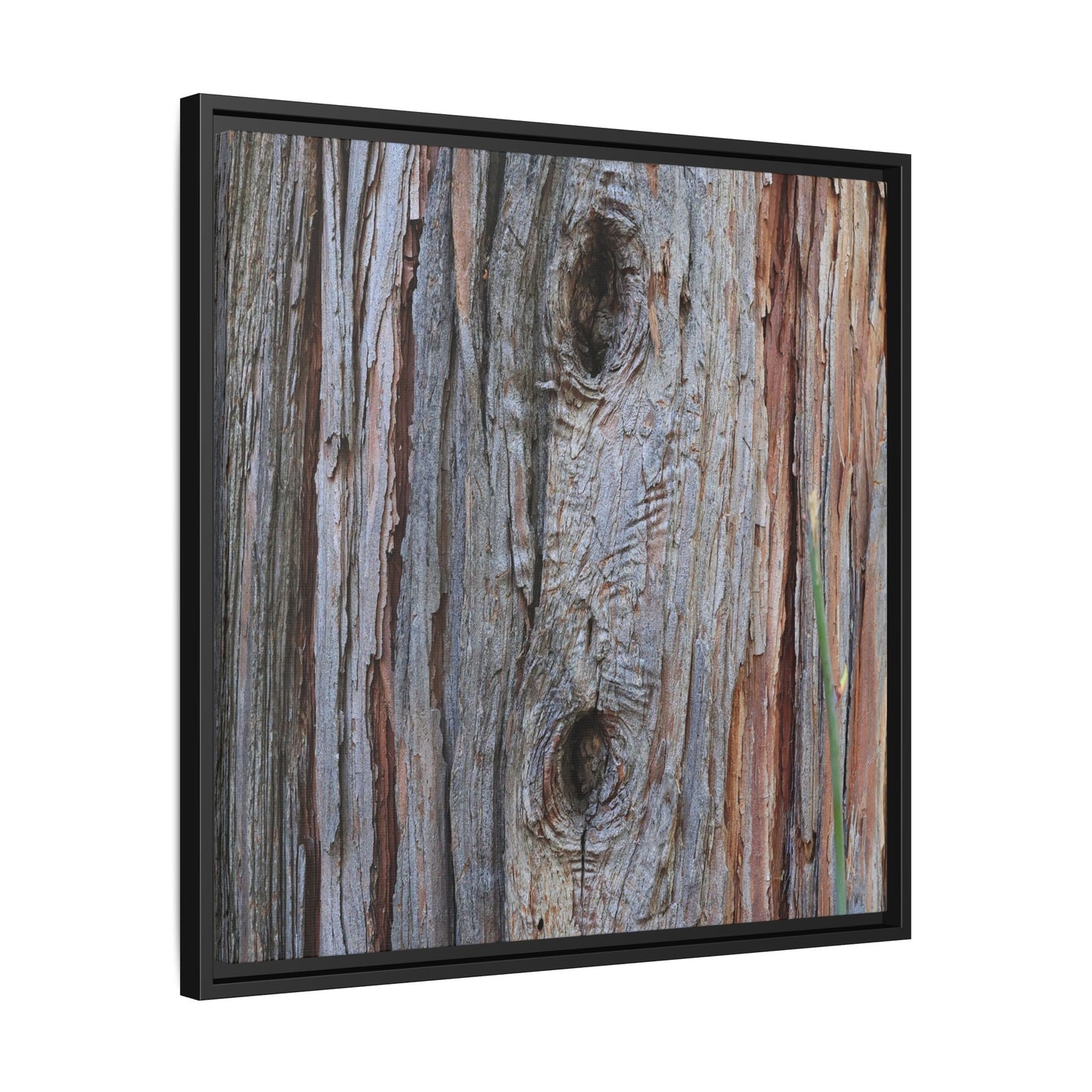 Knotty Nature - Unique Stretched Canvas Wall Art - Art By Earth