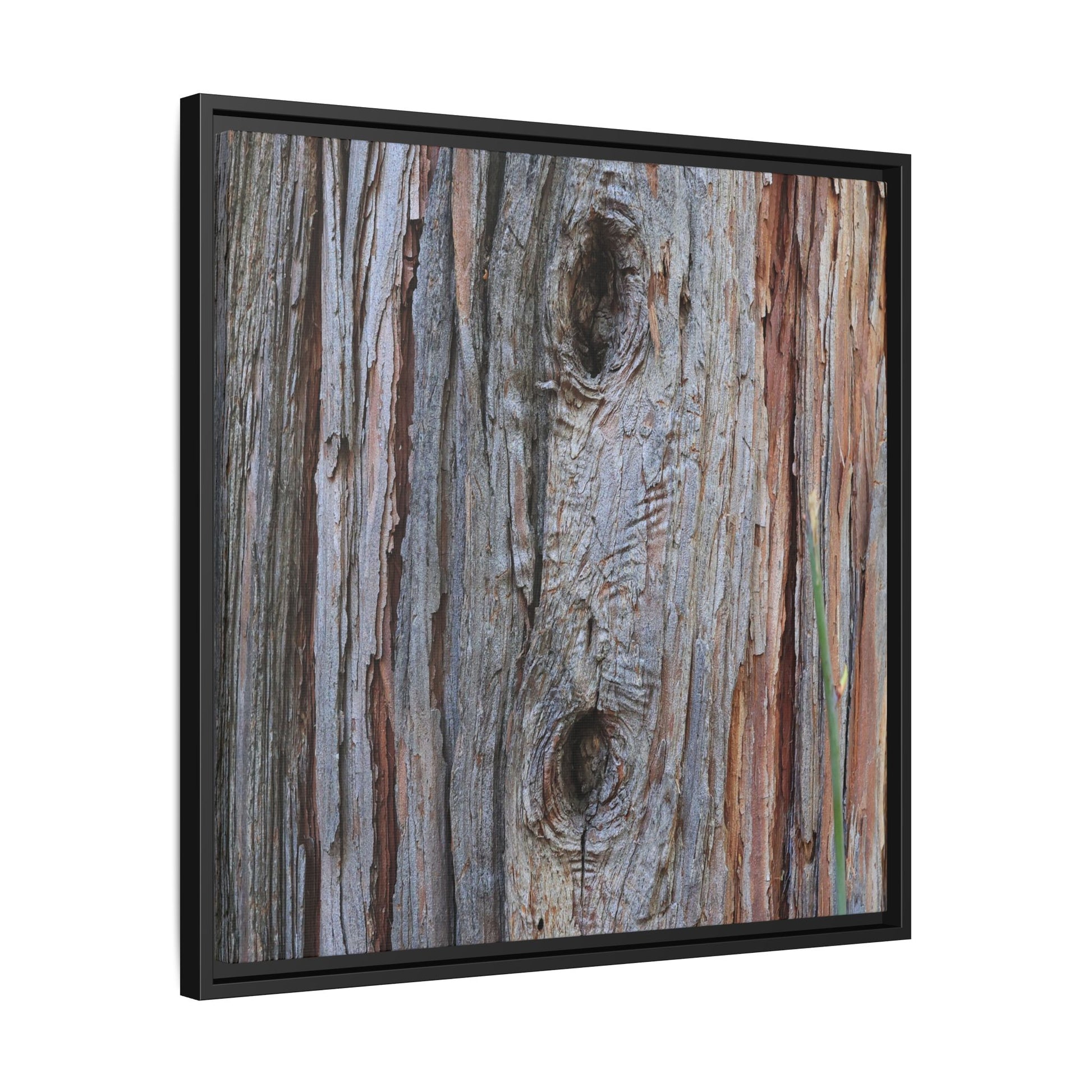 Knotty Nature - Unique Stretched Canvas Wall Art - Art By Earth