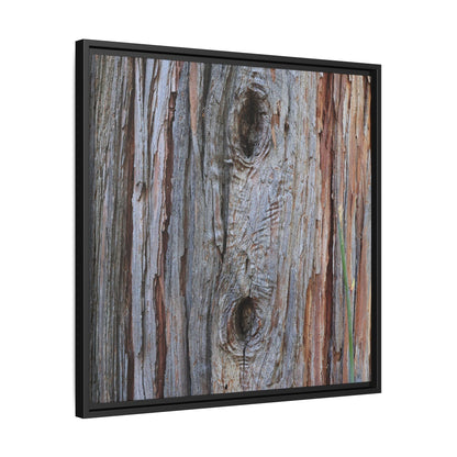Knotty Nature - Unique Stretched Canvas Wall Art - Art By Earth