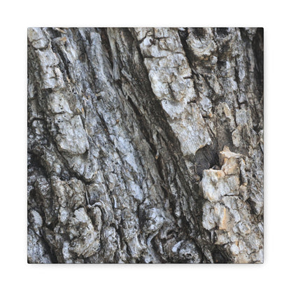 Nature's Rough Embrace - Unique Frameless Canvas Wall Art - Art By Earth