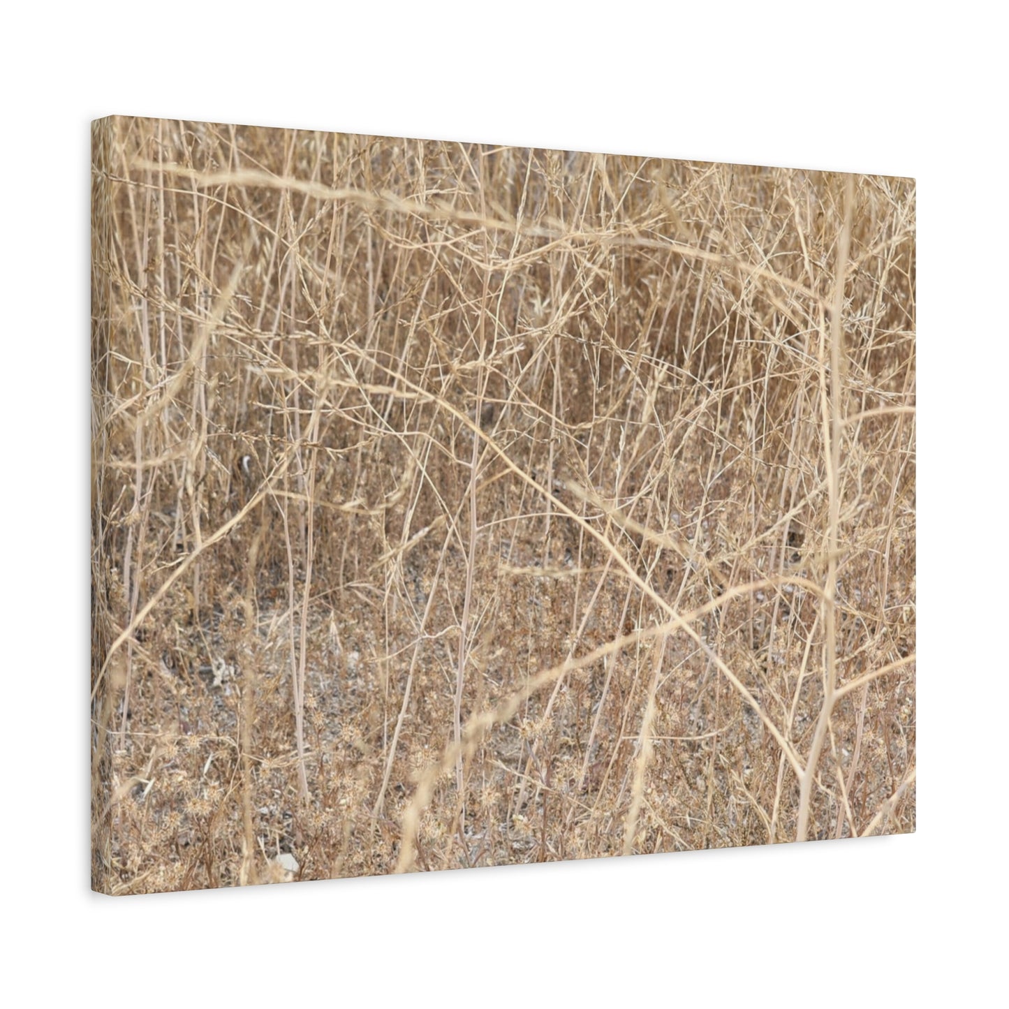 Dry Echoes - Unique Frameless Canvas Wall Art - Art By Earth