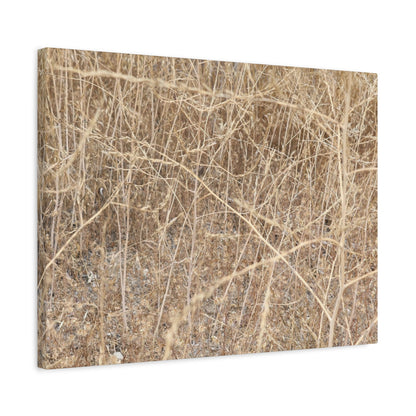 Dry Echoes - Unique Frameless Canvas Wall Art - Art By Earth