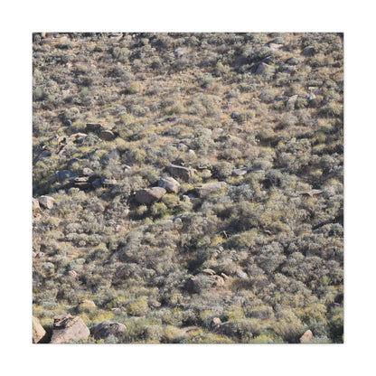 Desert Landscape with Scattered Rocks and Sage - Unique Frameless Canvas Wall Art - Art By Earth