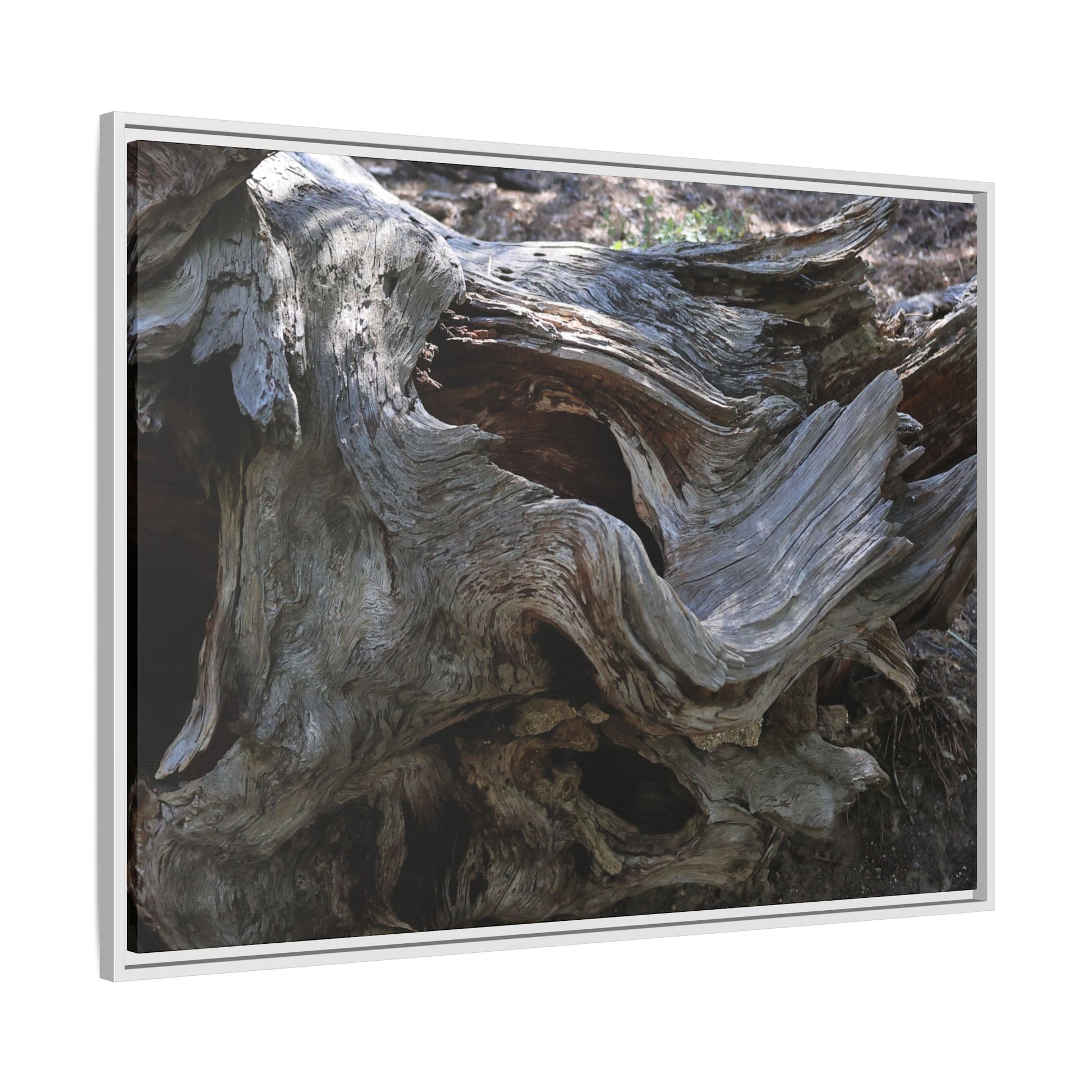 Twisted Memories - Unique Stretched Canvas Wall Art - Art By Earth