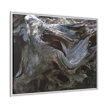 Twisted Memories - Unique Stretched Canvas Wall Art - Art By Earth