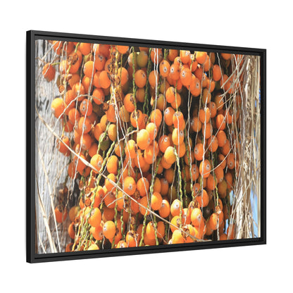 Clusters of Sunlight - Unique Canvas Wall Art - Art By Earth