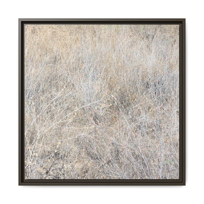 Whispers of Dry Grass - Unique Stretched Canvas Wall Art - Art By Earth