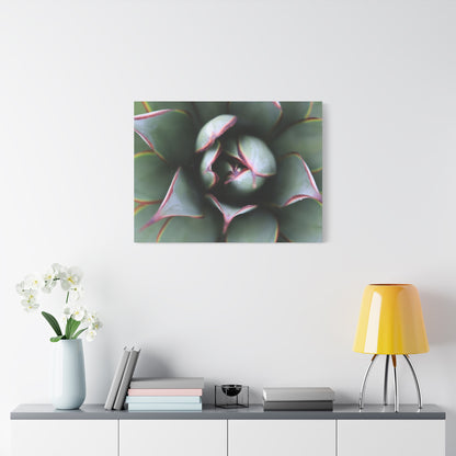 Emerald Spiral - Unique Frameless Canvas Wall Art - Art By Earth