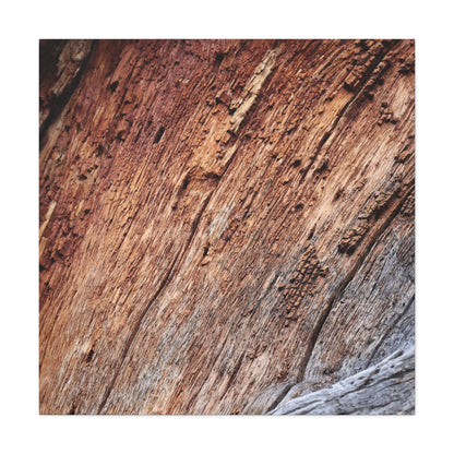 Natural Wood Grain - Unique Frameless Canvas Wall Art - Art By Earth