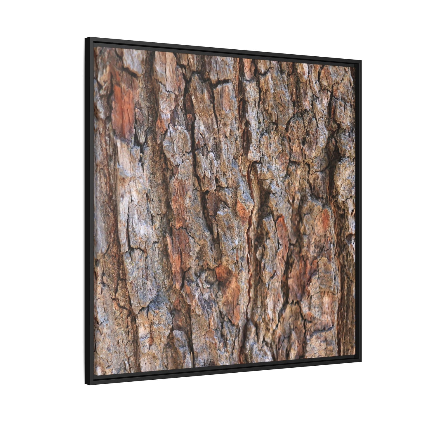 Tree's Timeworn Tale - Unique Stretched Canvas Wall Art - Art By Earth