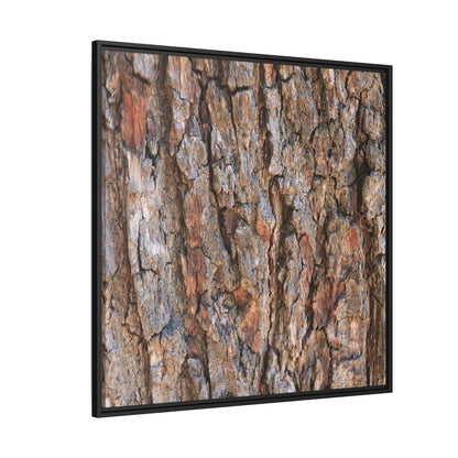 Tree's Timeworn Tale - Unique Stretched Canvas Wall Art - Art By Earth