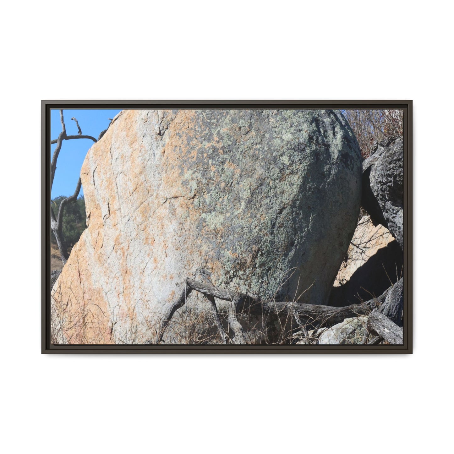 Stony Sentinel - Unique Stretched Canvas Wall Art - Art By Earth