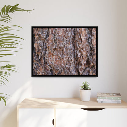Woody Layers - Unique Stretched Canvas Wall Art - Art By Earth
