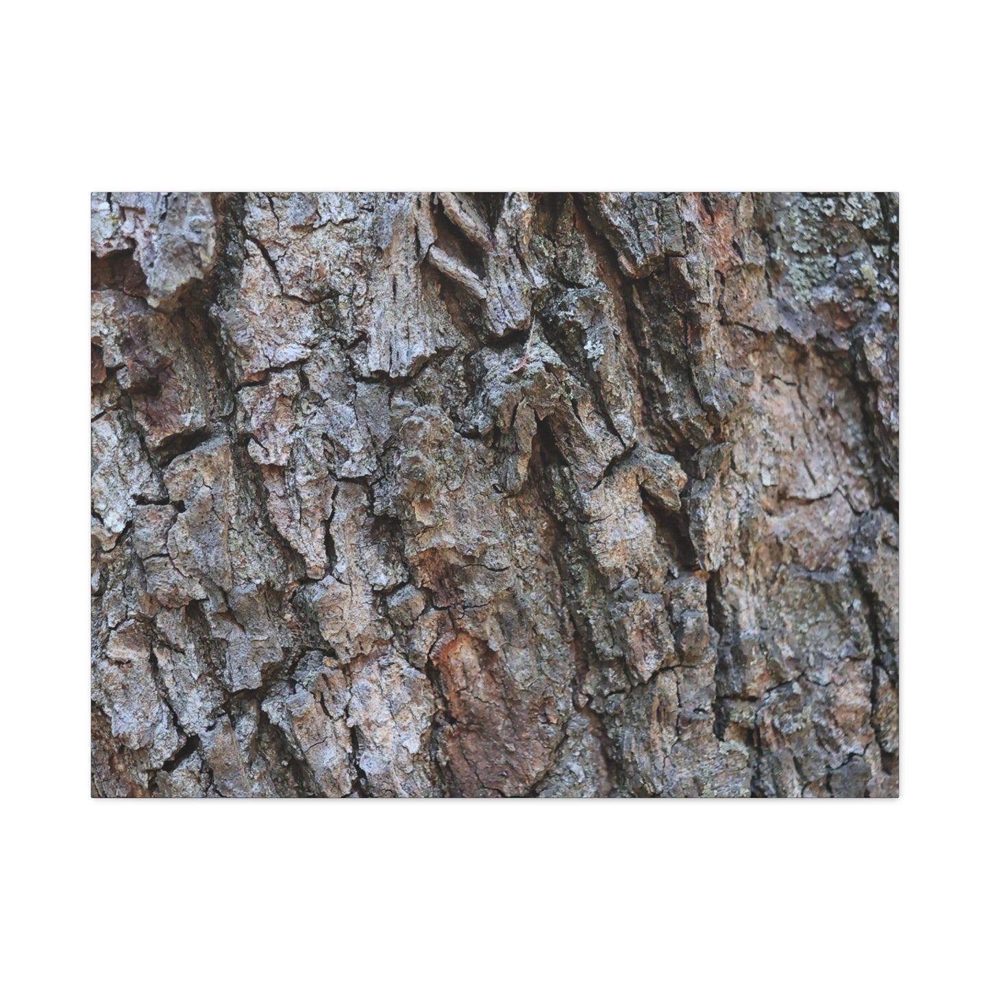 Rugged Canvas - Unique Frameless Canvas Wall Art - Art By Earth