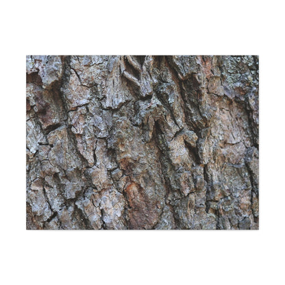 Rugged Canvas - Unique Frameless Canvas Wall Art - Art By Earth