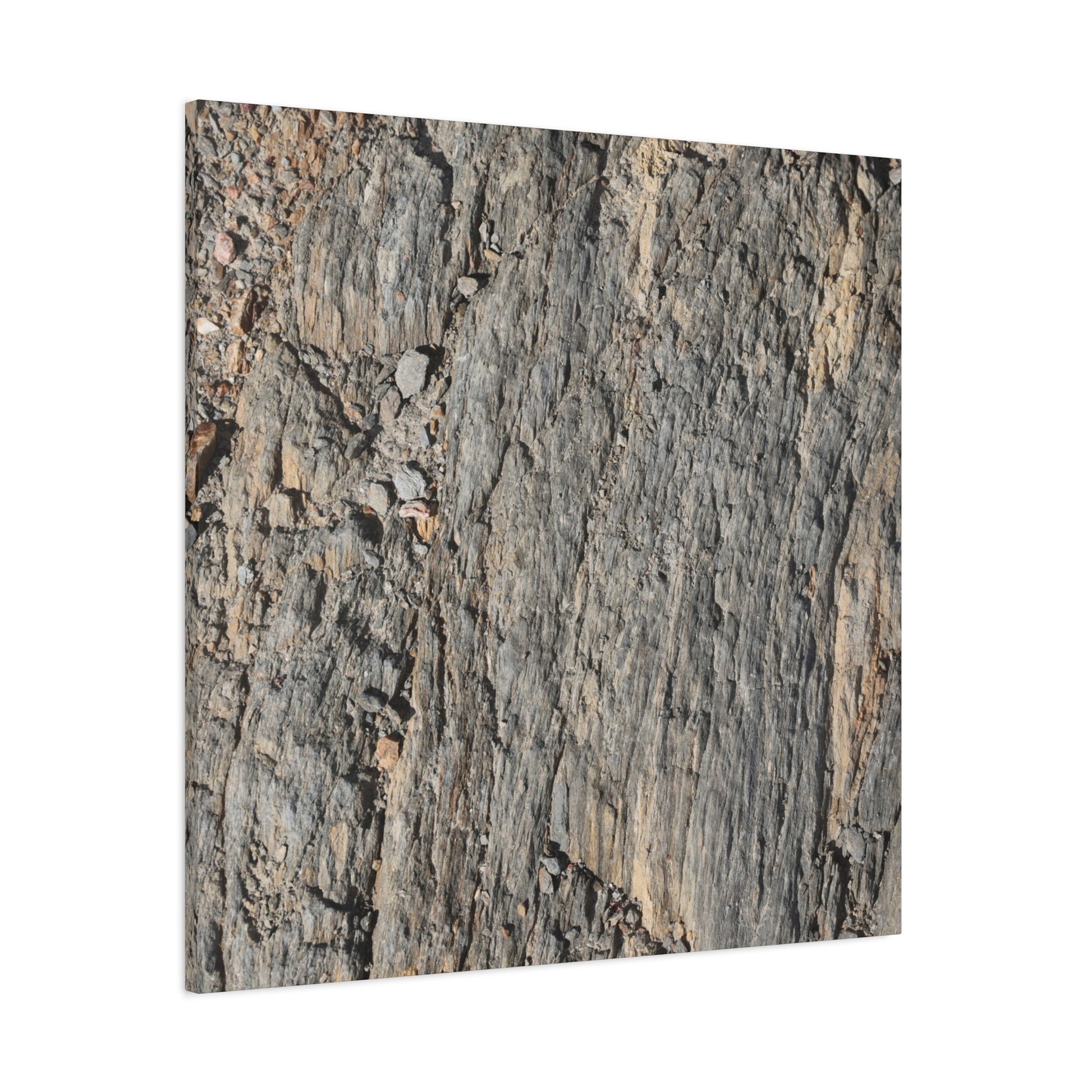 Bark Echoes - Unique Frameless Canvas Wall Art - Art By Earth