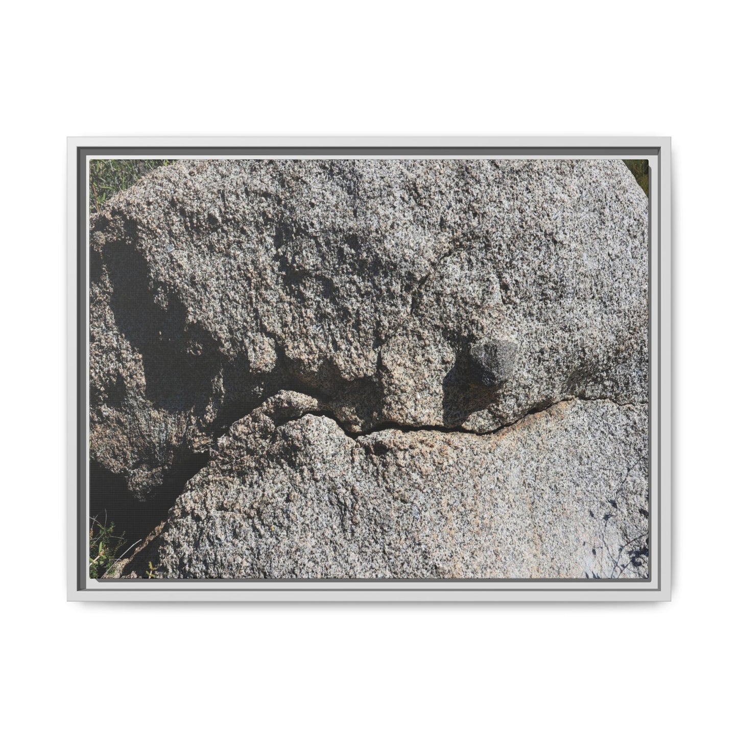Stone Skull in Desert - Unique Stretched Canvas Wall Art