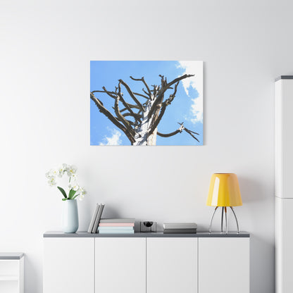 Skeletal Branches Reaching - Unique Frameless Canvas Wall Art - Art By Earth