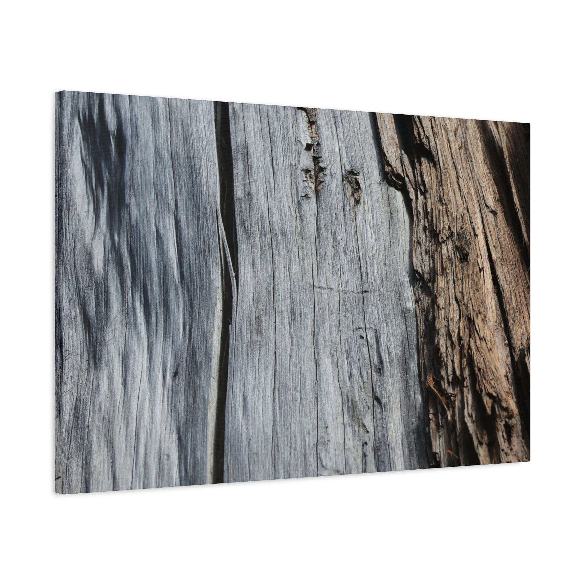 Fracture Lines - Unique Frameless Canvas Wall Art - Art By Earth
