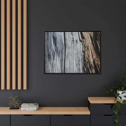 Wood's Lament - Unique Stretched Canvas Wall Art - Art By Earth