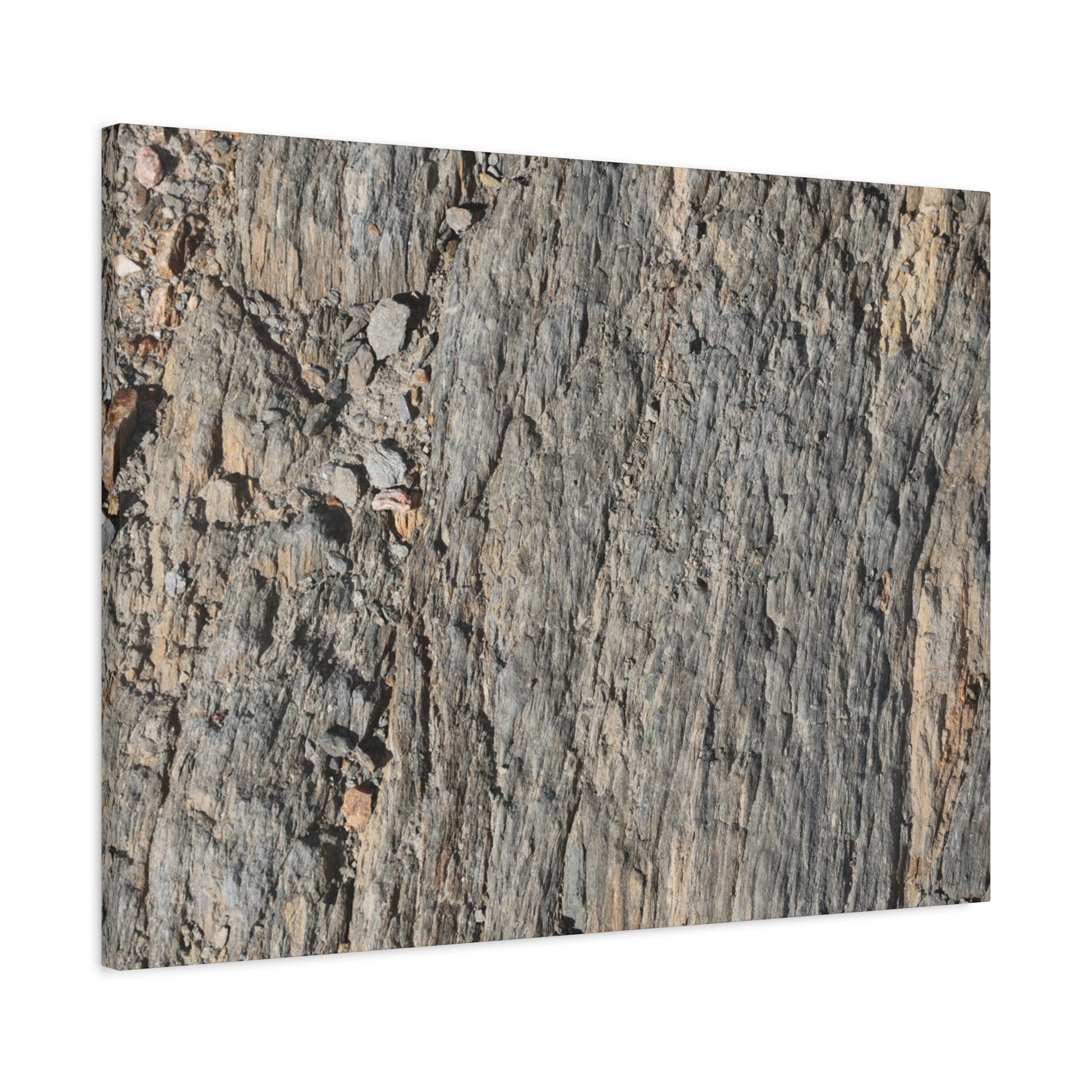 Bark Echoes - Unique Frameless Canvas Wall Art - Art By Earth