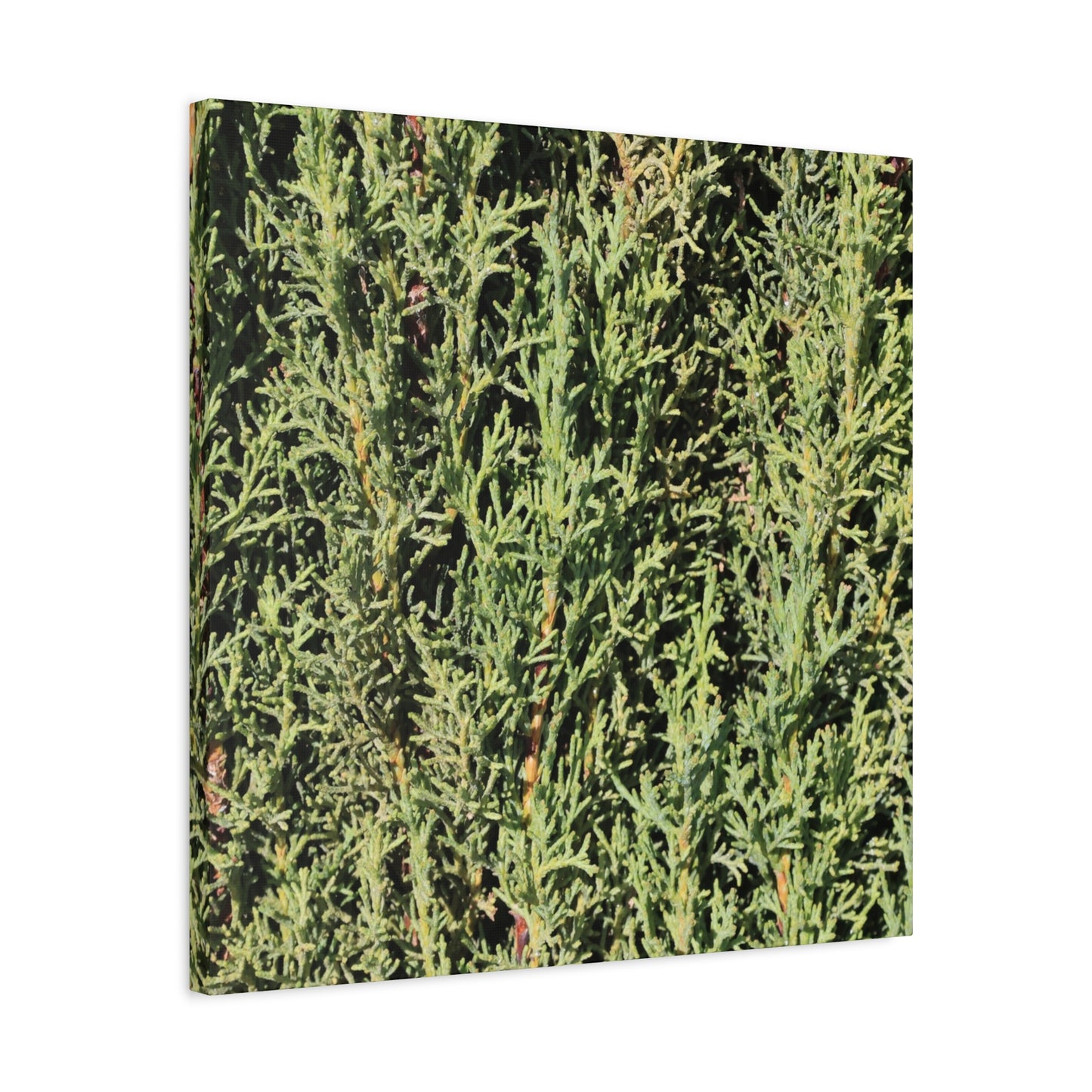 Emerald Tapestry - Unique Frameless Canvas Wall Art - Art By Earth