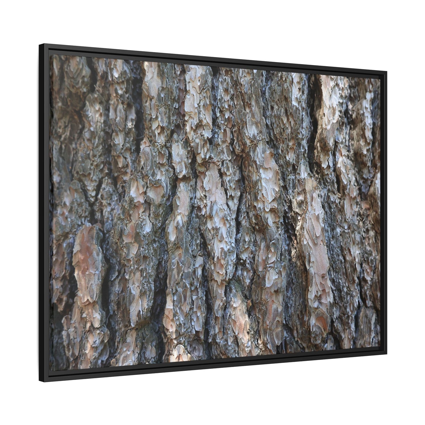 Bark Whispers - Unique Stretched Canvas Wall Art - Art By Earth