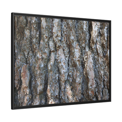 Bark Whispers - Unique Stretched Canvas Wall Art - Art By Earth