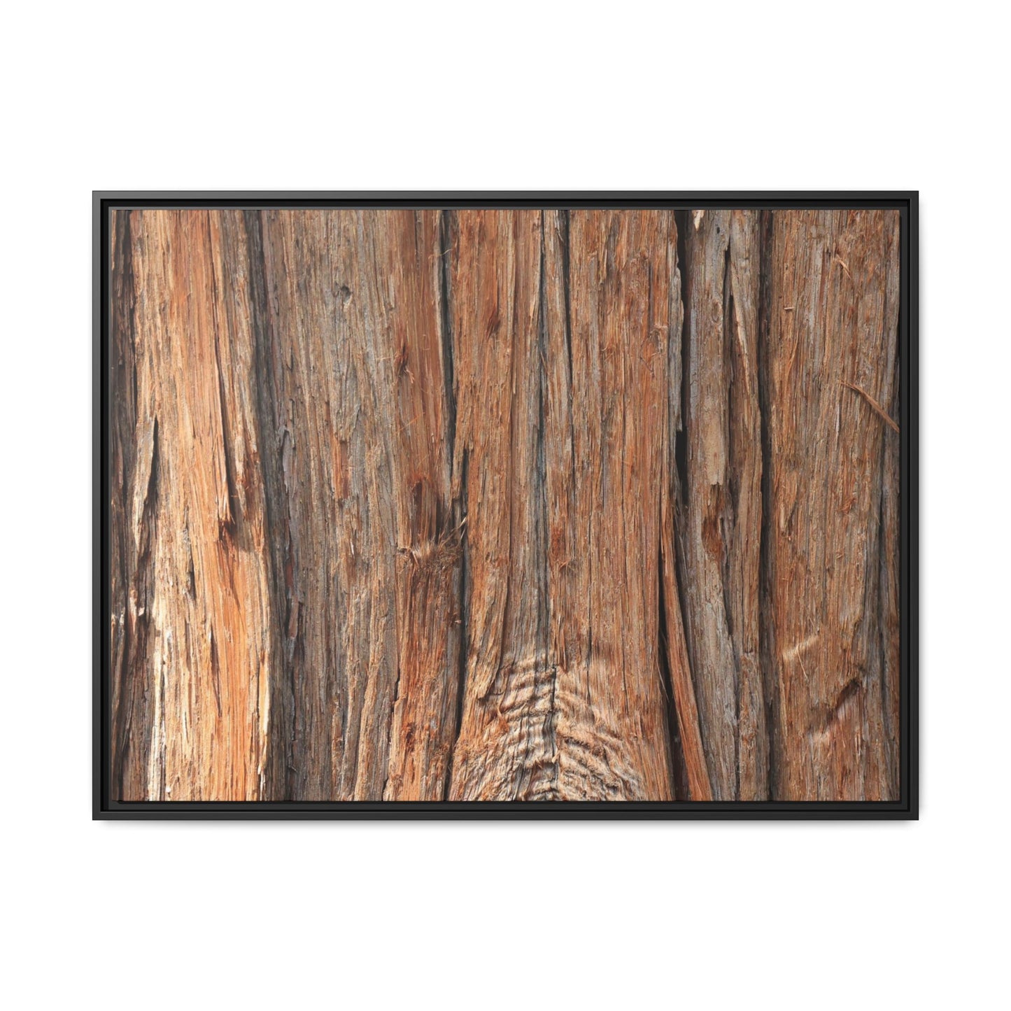 Echoes of Timber - Unique Stretched Canvas Wall Art - Art By Earth