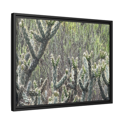 Prickly Paradise - Unique Stretched Canvas Wall Art - Art By Earth