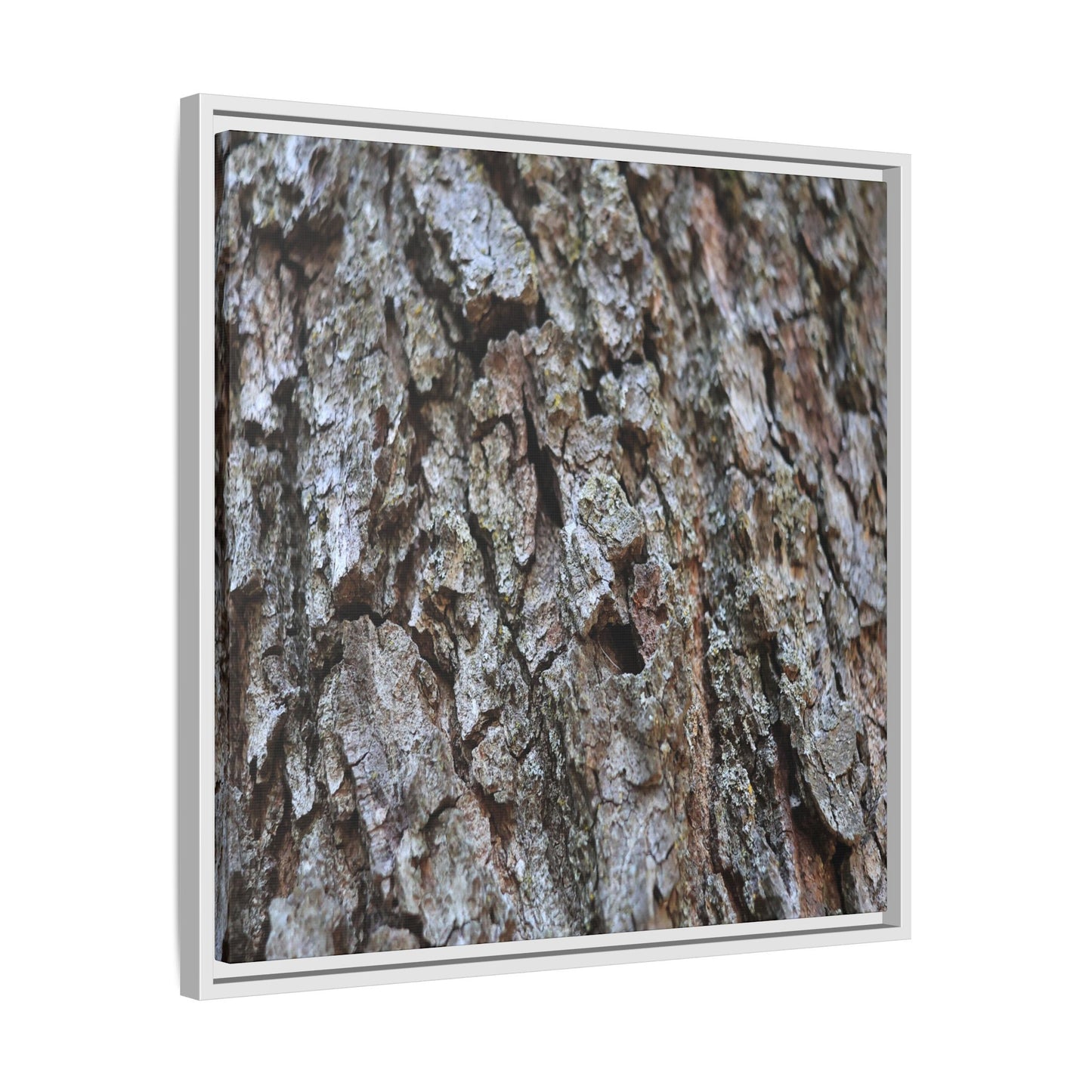 Woodland Canvas - Unique Stretched Canvas Wall Art - Art By Earth