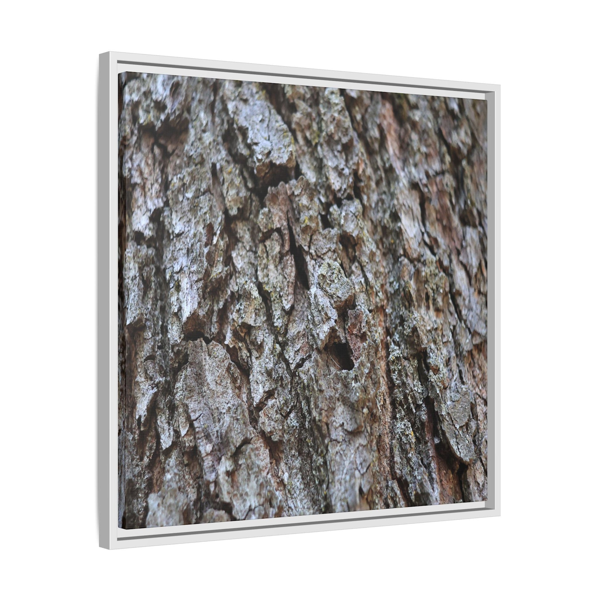 Woodland Canvas - Unique Stretched Canvas Wall Art - Art By Earth