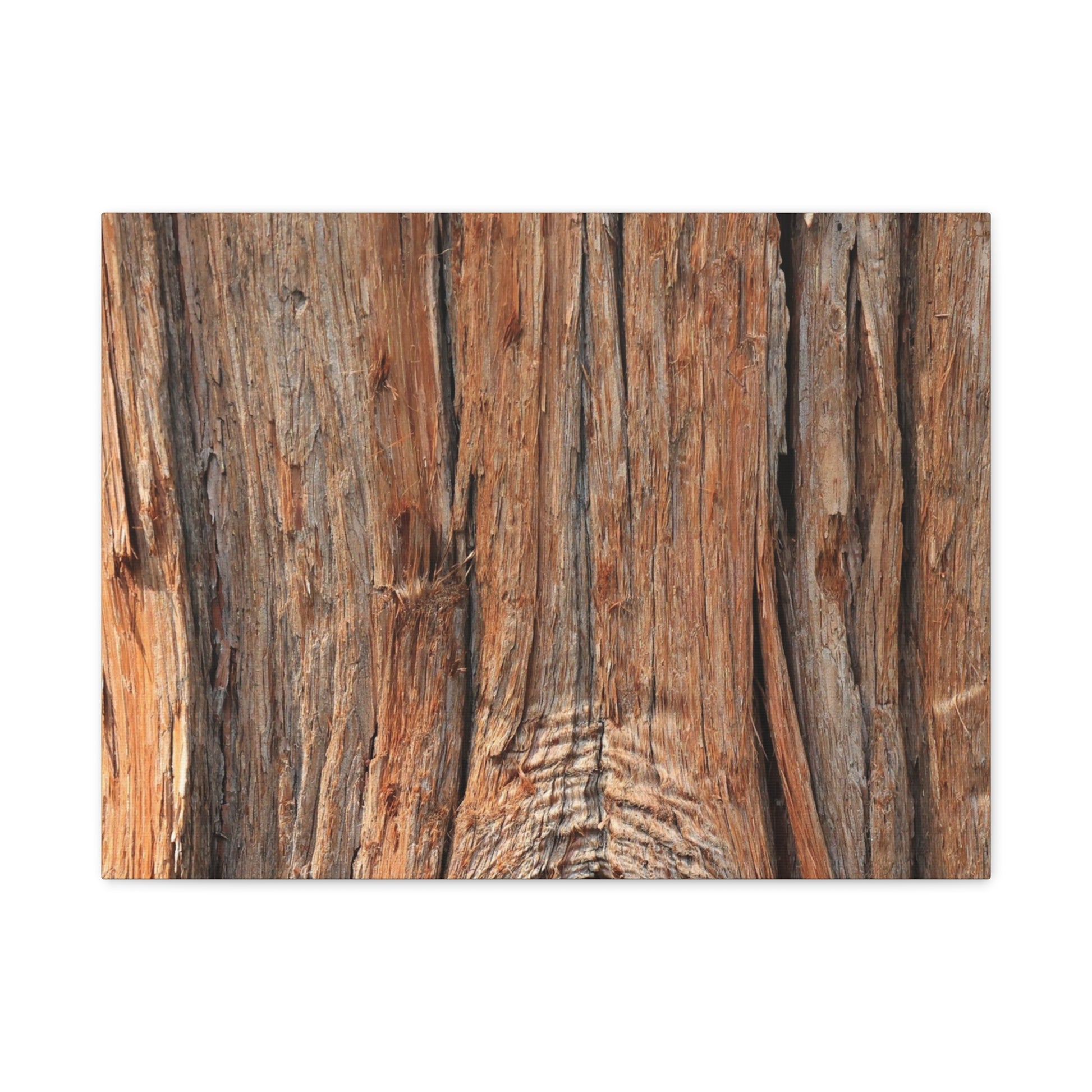 Bark's Ancient Whispers - Unique Frameless Canvas Wall Art - Art By Earth