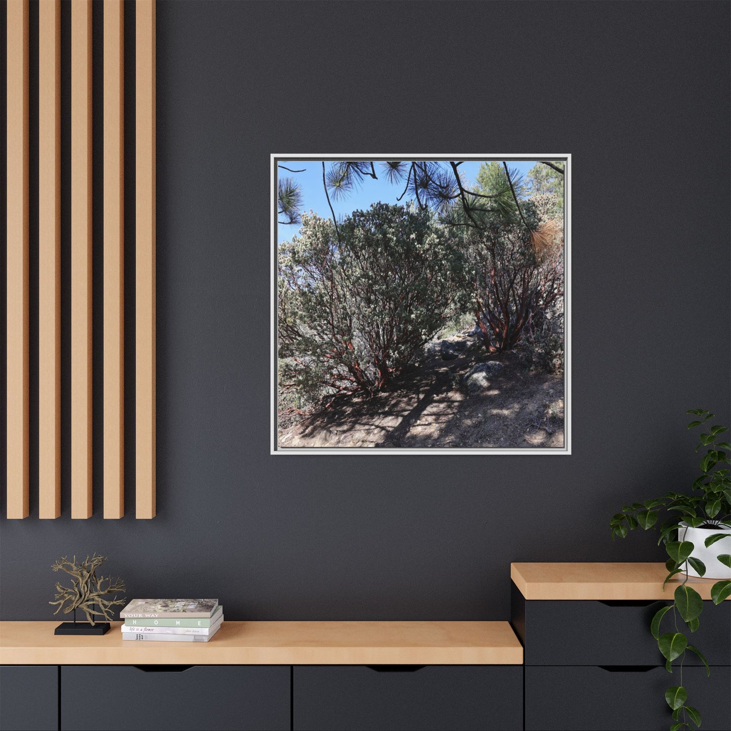 Desert Trail Through Blooming Manzanita - Unique Stretched Canvas Wall Art