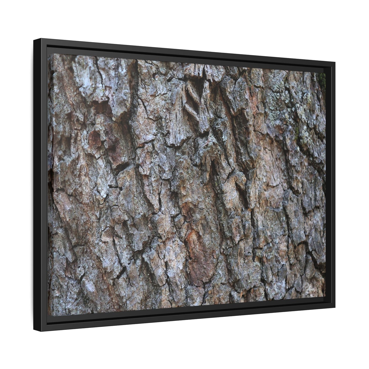 Woodland Skin - Unique Stretched Canvas Wall Art - Art By Earth