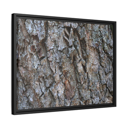Woodland Skin - Unique Stretched Canvas Wall Art - Art By Earth