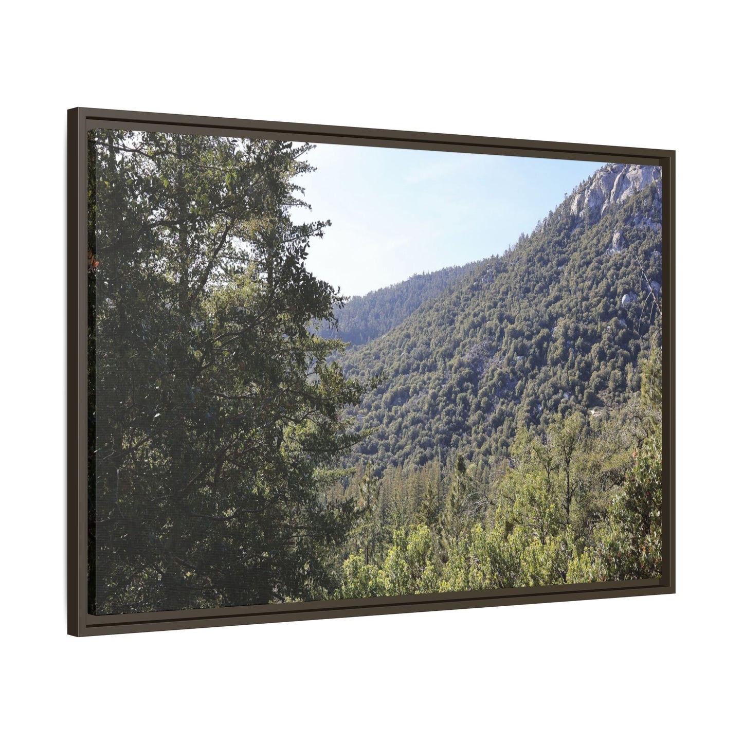 Mountain Valley Forest - Unique Stretched Canvas Wall Art