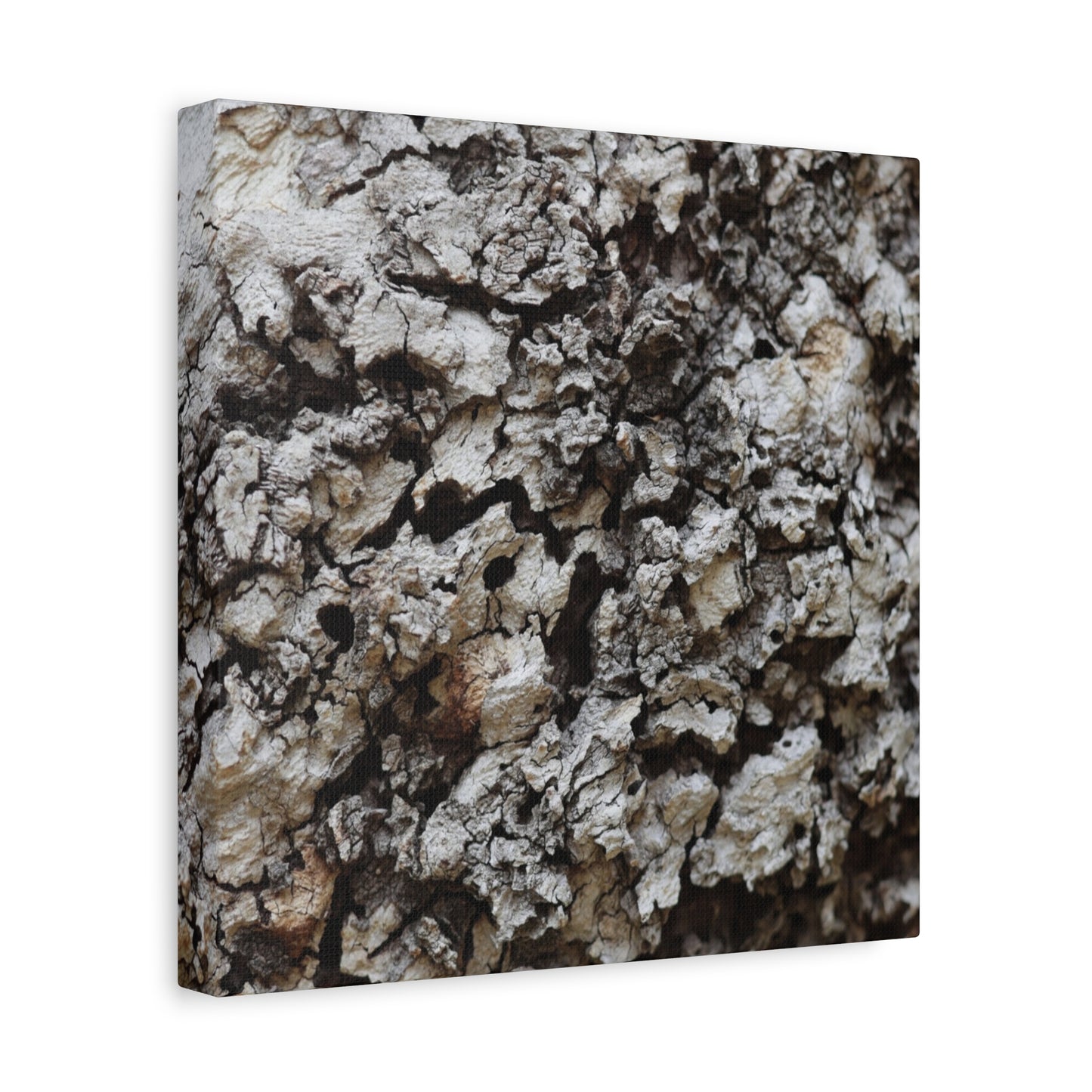 Cracked Earth Tapestry - Unique Frameless Canvas Wall Art - Art By Earth