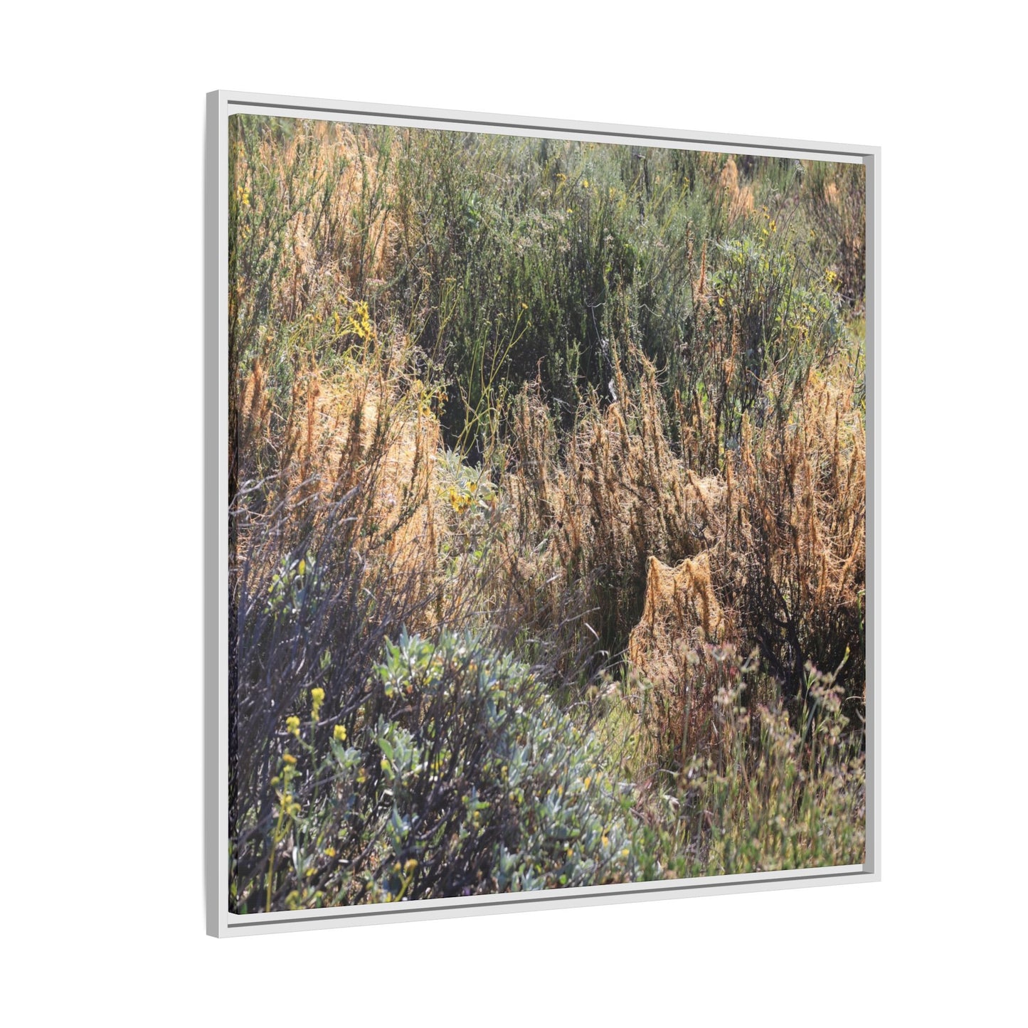 Drought-Stricken Landscape - Unique Stretched Canvas Wall Art - Art By Earth